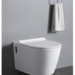 Premium Executive Conduit Toilet - Model BT365-TCT5